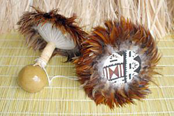 Kumu Rachel Iha features the uli uli in natural colors