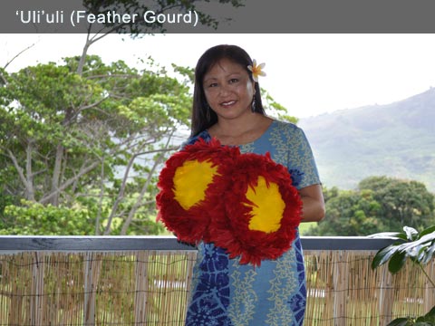 Kumu Rachel Iha features the uliuli